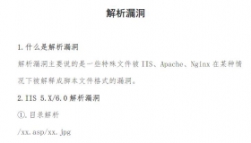 解析漏洞 网络安全CTF PDF资料免费阅读