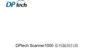 DPtech Scanner1000 系列漏洞扫描 系统 用户配置手册