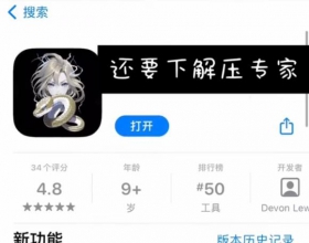 苹果手机运行 安卓APK 游戏的专用教程