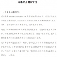 网络安全专业技能 网络安全漏洞管理 PDF资料在线阅读