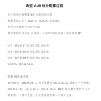 典型VLAN划分配置过程 网络安全专业知识PDF