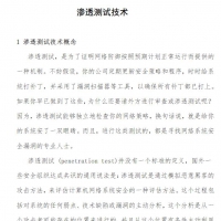 网络安全专业技能 渗透测试技术.pdf资料免费在线阅读