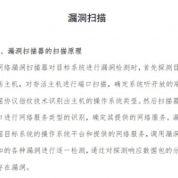 网络安全 专业技能 漏洞扫描.pdf在线免费阅读
