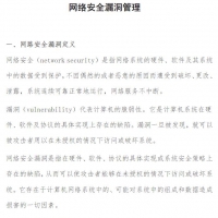 网络安全专业技能 网络安全漏洞管理.pdf 资料在线阅读